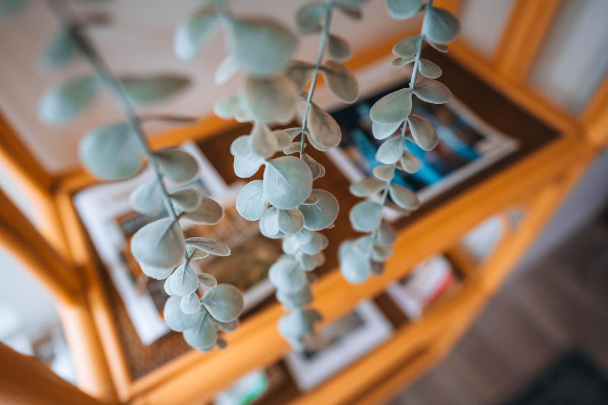 Les Petits Roys - Proche Centre Ville - Cosy Chateauroux Luaran gambar