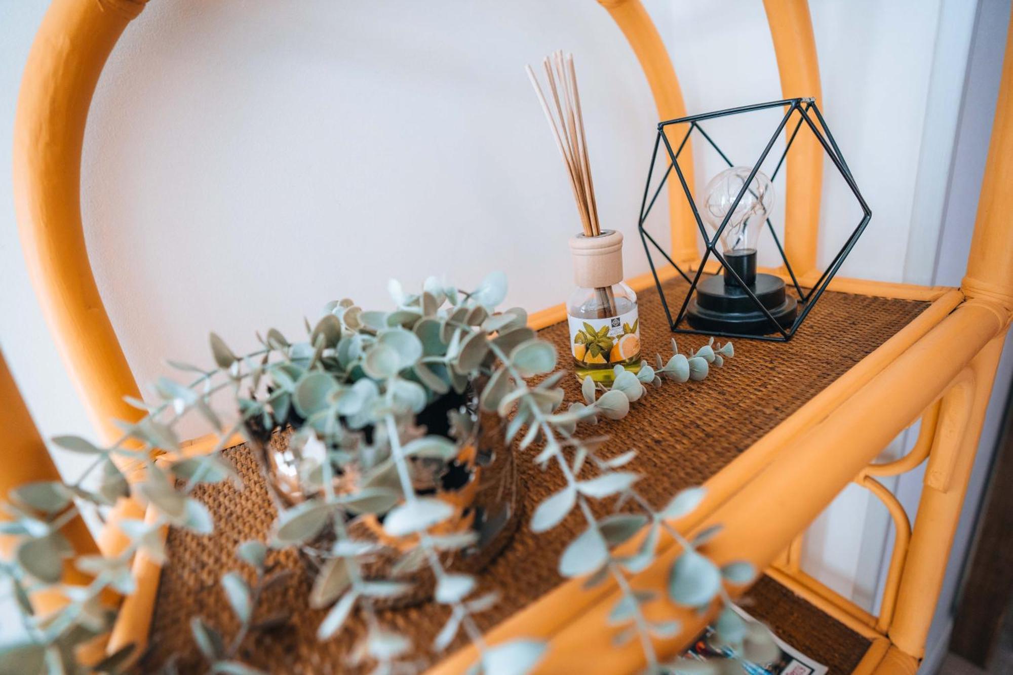 Les Petits Roys - Proche Centre Ville - Cosy Chateauroux Luaran gambar
